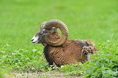 《使命召唤19：现代战争2》官方PC系统配置公布