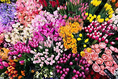 《变形金刚：超能勇士崛起》今日上映！史诗交锋开战掀狂潮席卷银幕