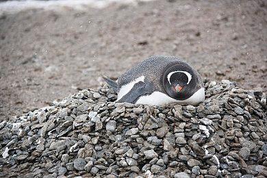 电竞世界杯：《彩虹六号：围攻》总奖金200万美元