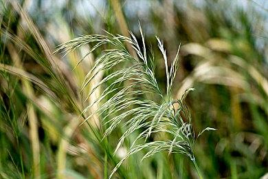 黑曜石公布《Grounded》全新“共享世界”功能